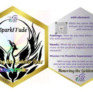 Hex Card Deck (LG): SparkITude 1st EDITION EXPRESSING YOUR SOUL